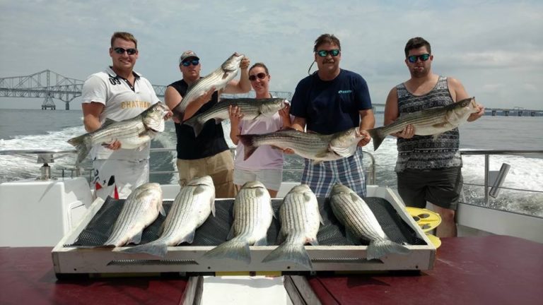 book-your-chesapeake-bay-fishing-charter-kodiak-charters-maryland