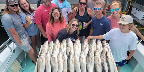 Chesapeake Bay Rockfish Charter